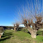 Hacienda De Leon