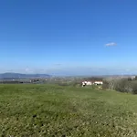 Casa Dell'Uliveto