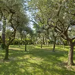Villa Delle Coste With Pool