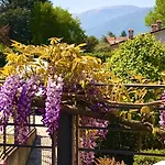 La Casa Del Glicine Tarzo