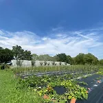 Camping Biologico La Buona Terra