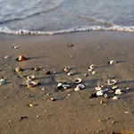 Serene Stay In The Heart Of Bibione