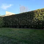 Il Sogno Di Elisa