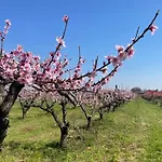 Agriturismo Corte Vecia Alloggio Della Corte
