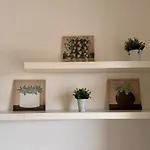 Boutique Home