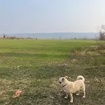 Appartamento La Bussola