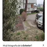 Di Fronte Al Lago