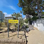 Turritella Del Mar