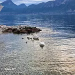 Il Nido