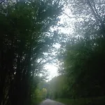 Sul Collagu