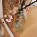 Casamartini Bed & Breakfast