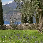 Villa Cipressi - Luxuri Lounge -