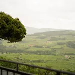 Apartment Valpolicella