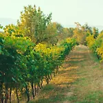 Asolo Norah'S Hill Agri Rooms