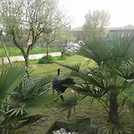 B&B Bagigiogrill