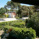 Sole Piccolo