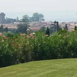 Barum Rosa