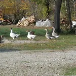 Azienda Agrituristica Alle Fontane