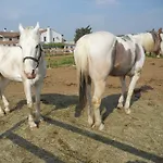 Agriturismo Le Mura Del Gherlo