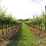 Agriturismo Ca'Mattei