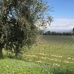 Tenuta La Ca