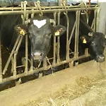 Agriturismo Ae Noseare