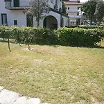 Dina/Viel