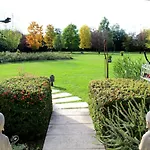 Edera Rossa