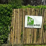 Bamboo Rooms