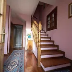 Fly To Venice Home