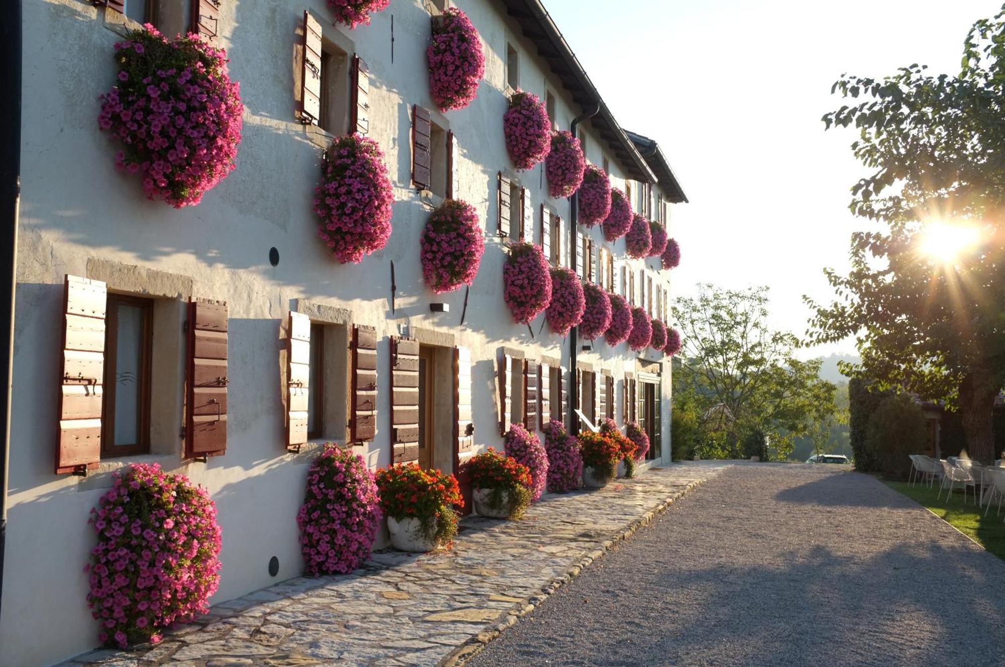 Venkovský dům Duca Di Dolle Wine & Relais *