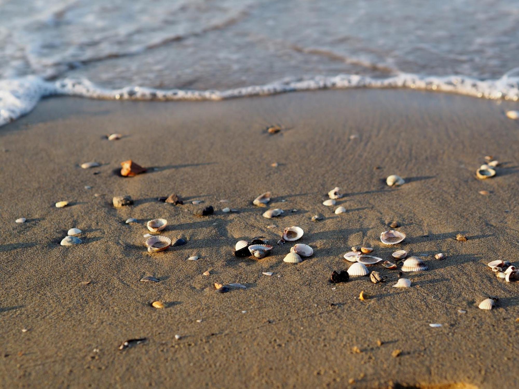 Quiet Flat Near The - Beahost Bibione