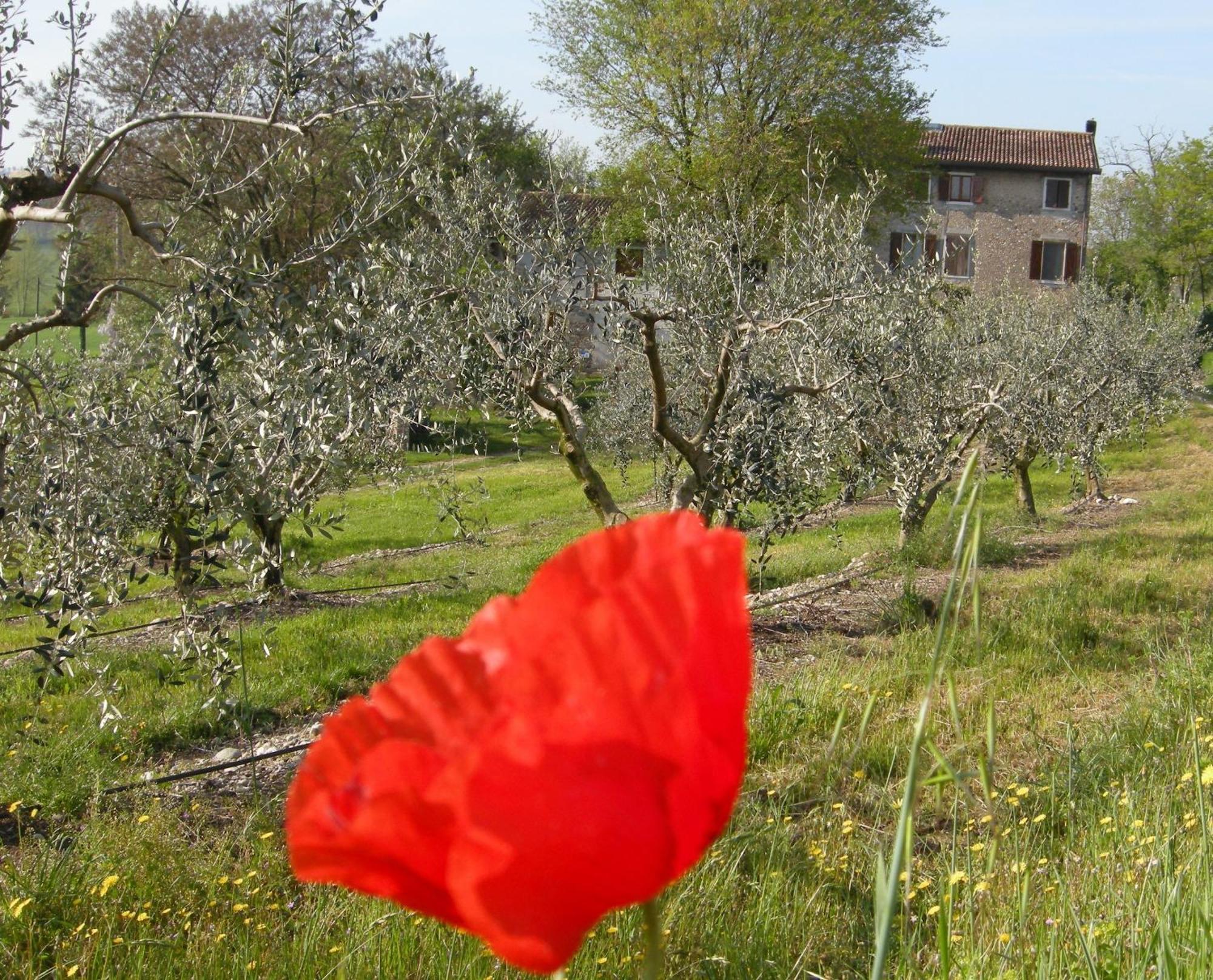 I Vigneti Salionze
